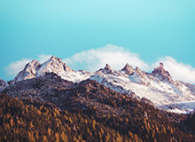 开云体育-中国官网登录入口：开启专业与乐趣并存的体育新纪元